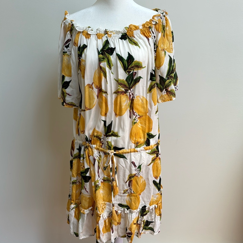 Off the Shoulder Summer Dress
